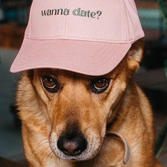 Dog wearing a pink cap with 'wanna date?' text